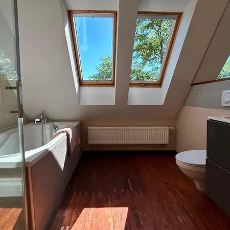 Loft By Mc Apartament *